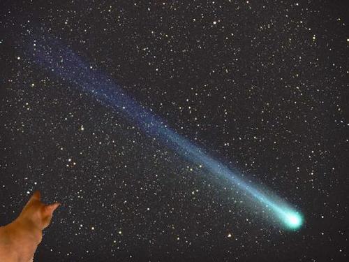 彗星ナナ.JPG
