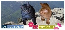 cats ピラミッド.jpg