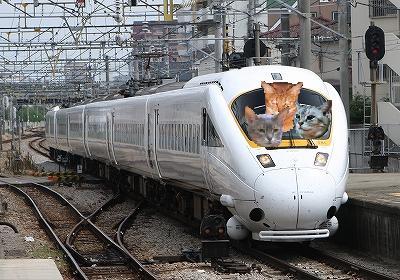 train3.JPG