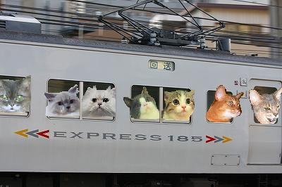 train4.JPG